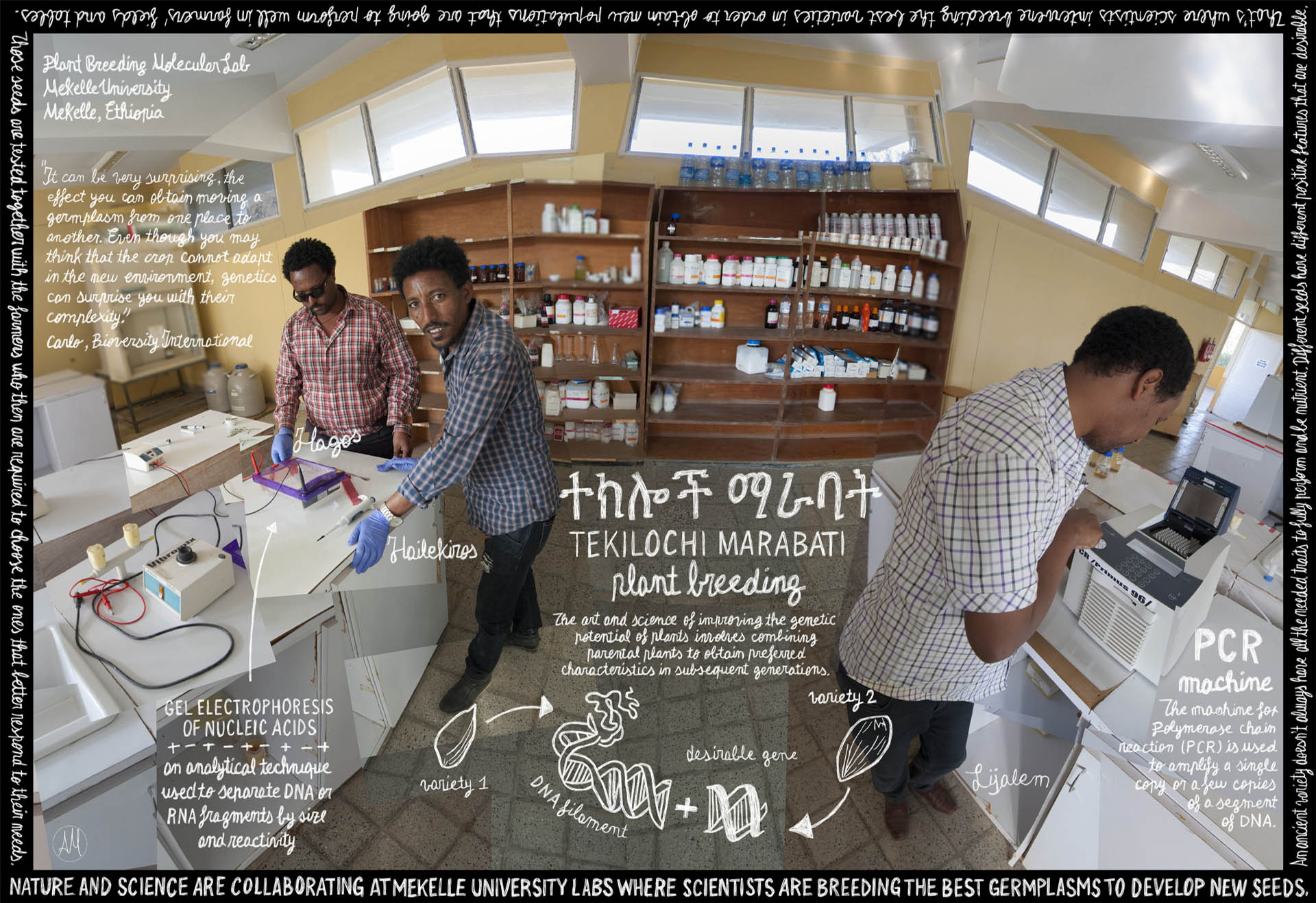 "Tekilochi Marabati". Flat Film by Alberto Miti. Click to expand.