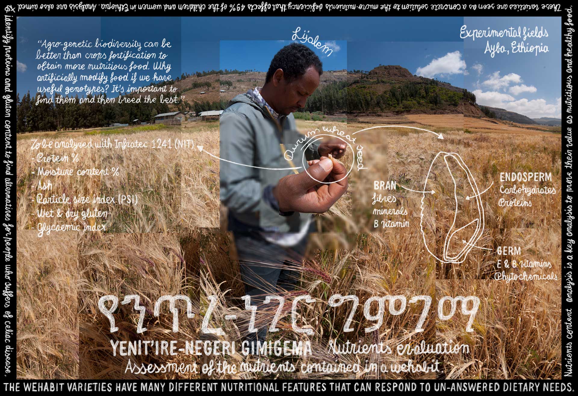 "Yenit'ire-Negeri Gimigema". Flat Film by Alberto Miti. Click to expand.