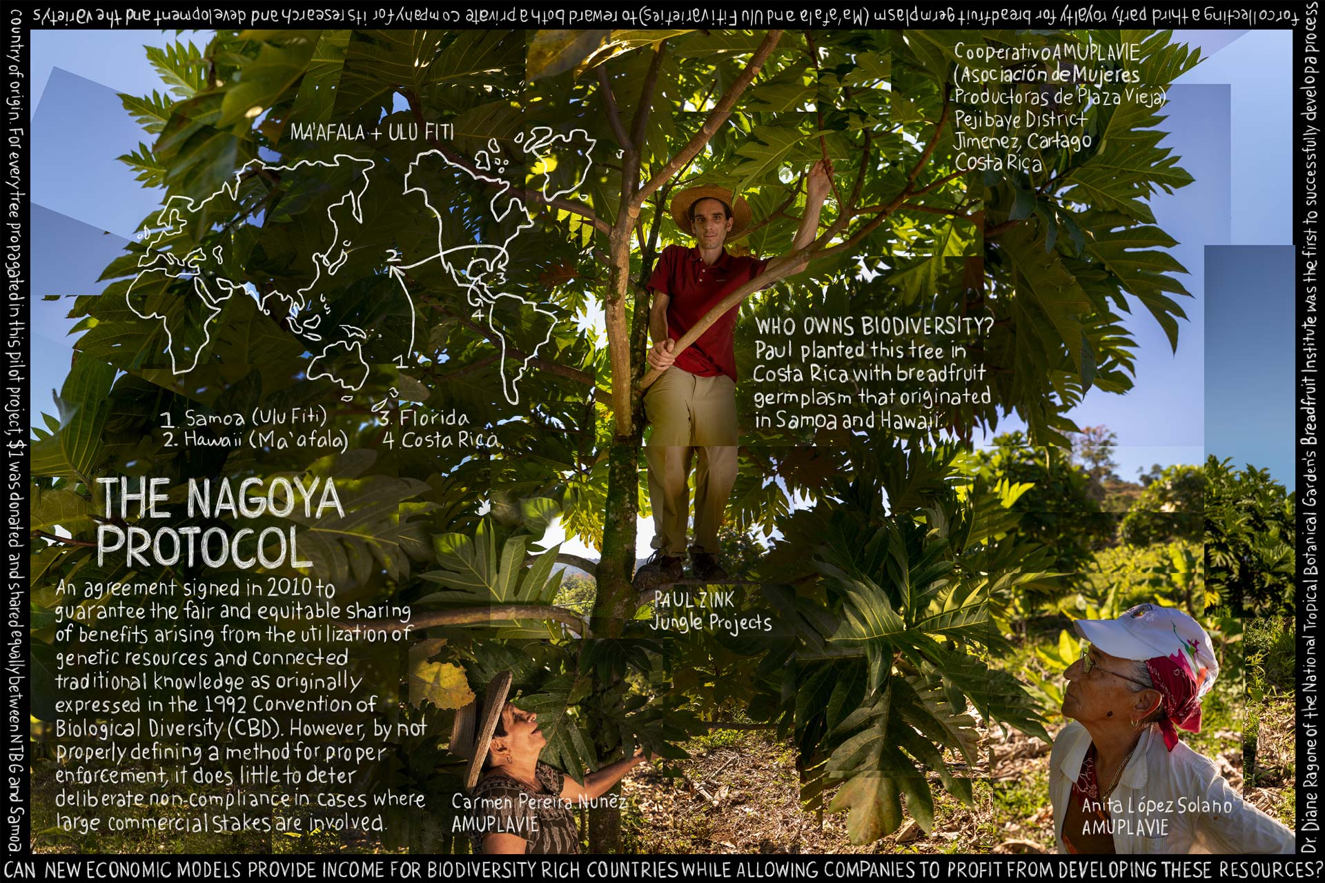 The Nagoya Protocol. Information artwork by Douglas Gayeton.