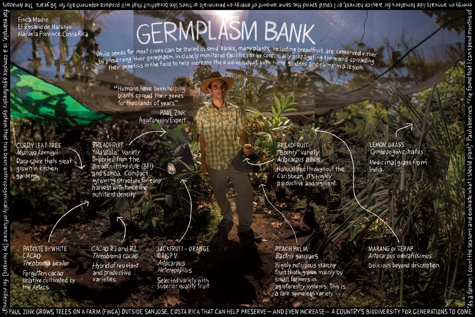 Germplasm Bank. Information artwork by Douglas Gayeton.