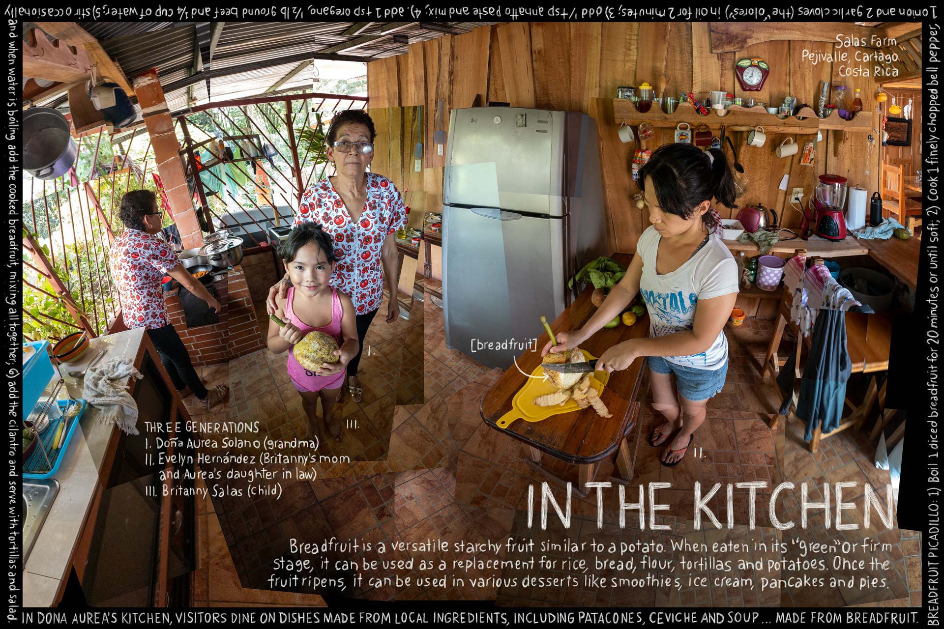 In the Kitchen. Information artwork by Douglas Gayeton.