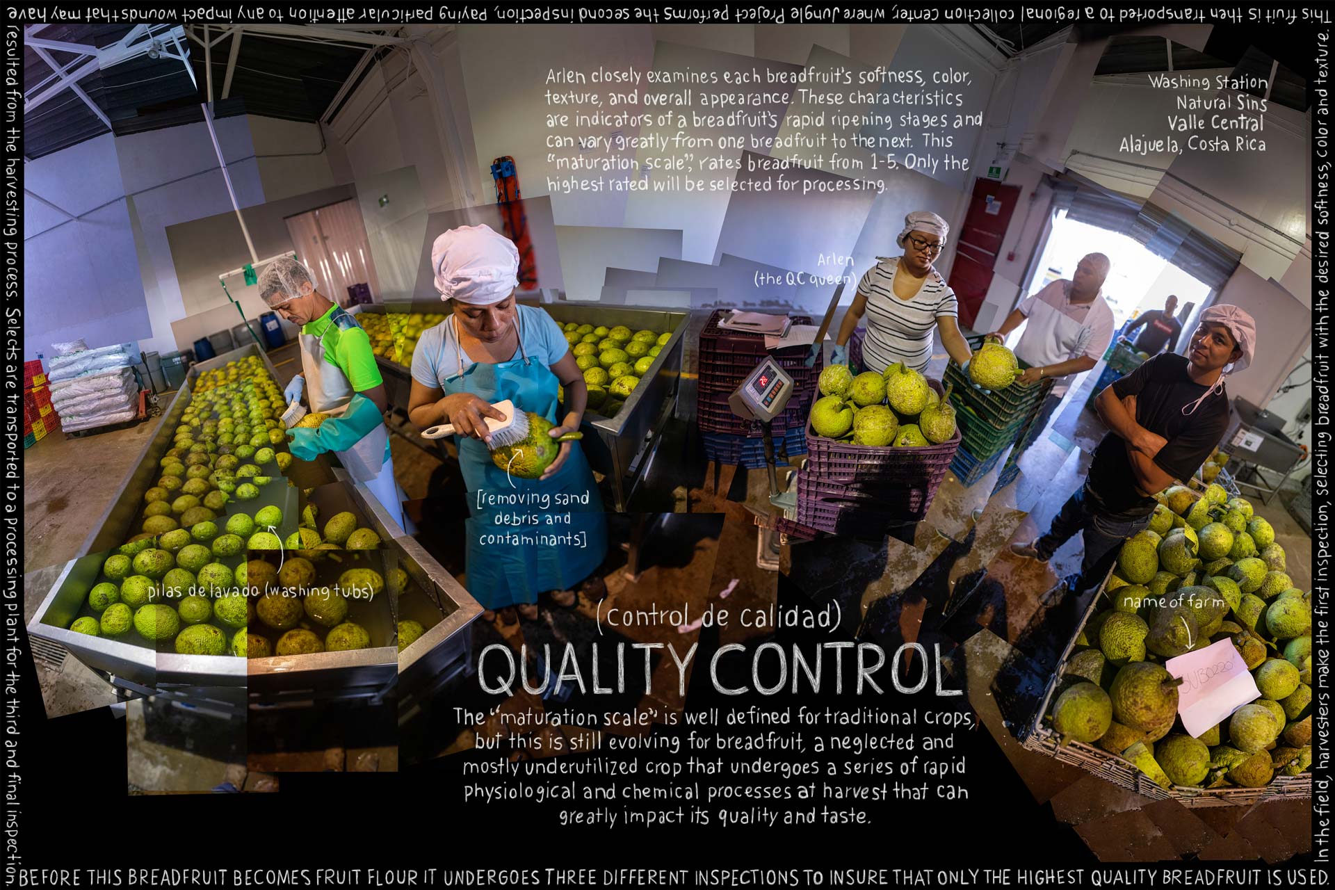 Quality Control. Information artwork by Douglas Gayeton.