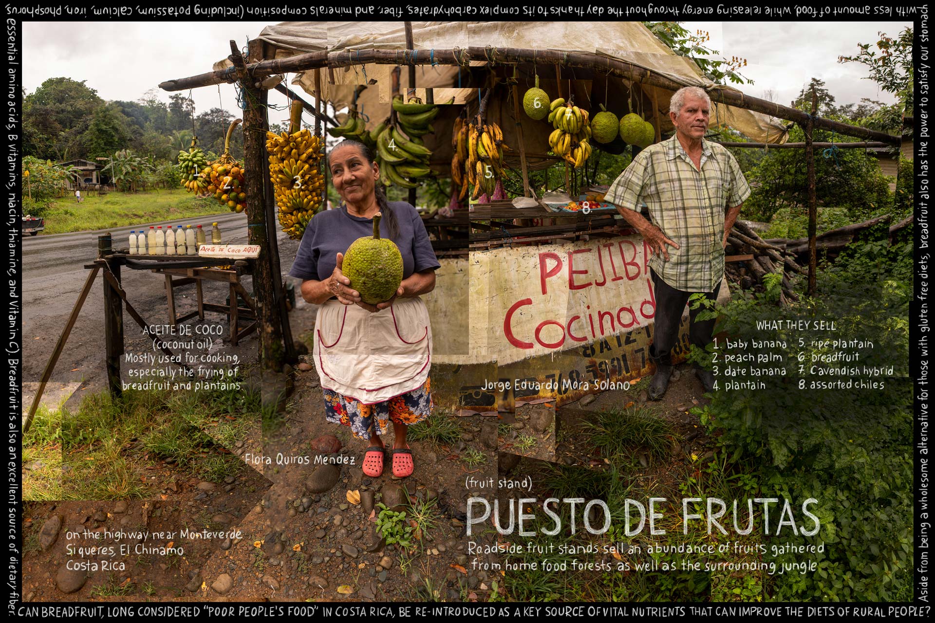 Puesto de Frutas. Information artwork by Douglas Gayeton.