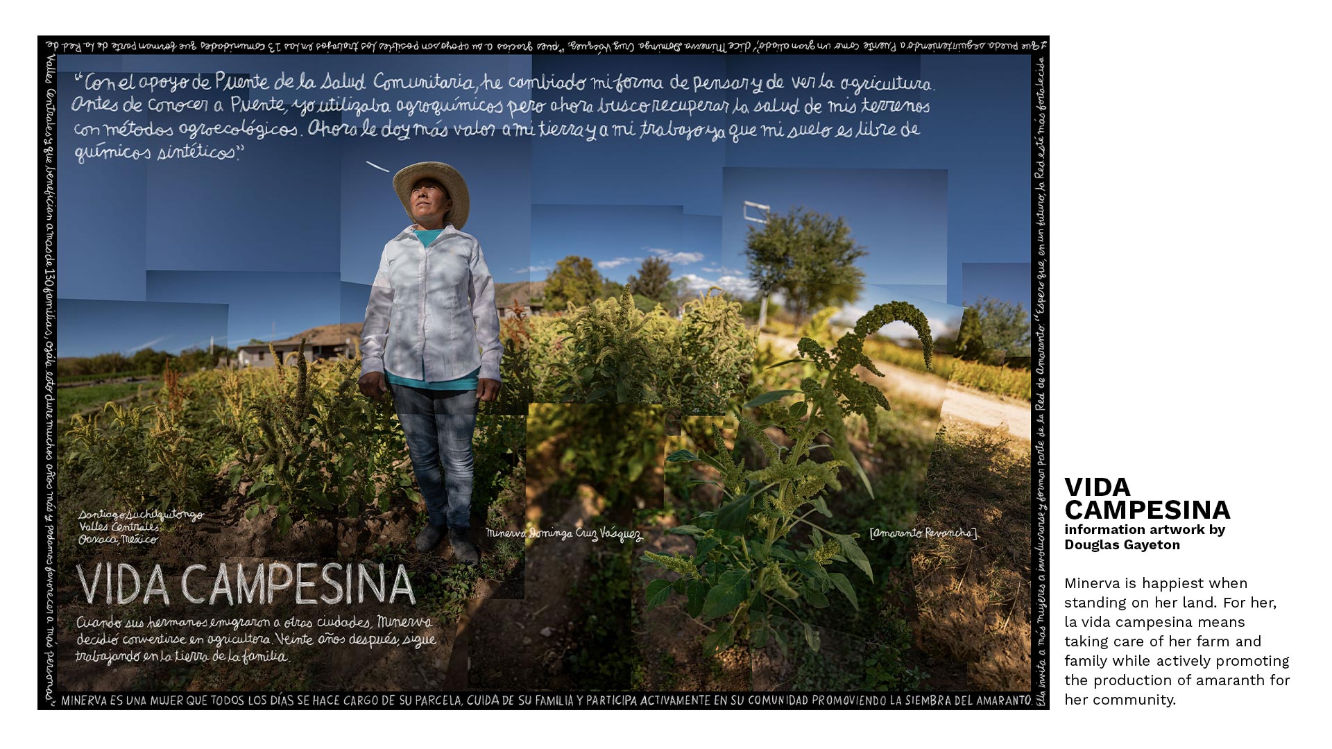 Vida Campesina. Information artwork by Douglas Gayeton.