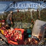 MALS3_PICKING_APPLES