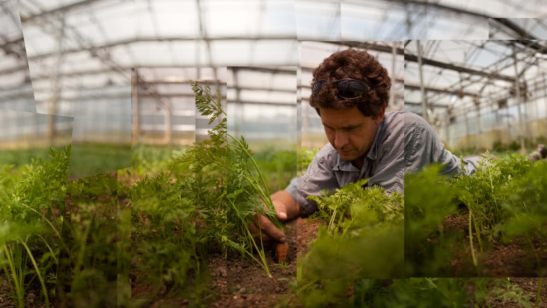 Lexicon of Food Story Remixes: "High Tunnels" - Across the U.S., farmers are discovering the benefits of high tunnels. NRCS can help producers integrate high tunnels into their operations.​