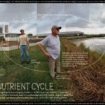 OTC20_NUTRIENT-CYCLEs.jpg