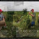 OTC2_WETLAND-RESTORATION.jpg