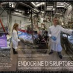 OTC32_ENDOCRINE-DISRUPTORS.jpg