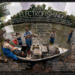 OTC57_ELECTRO-FISHING.jpg