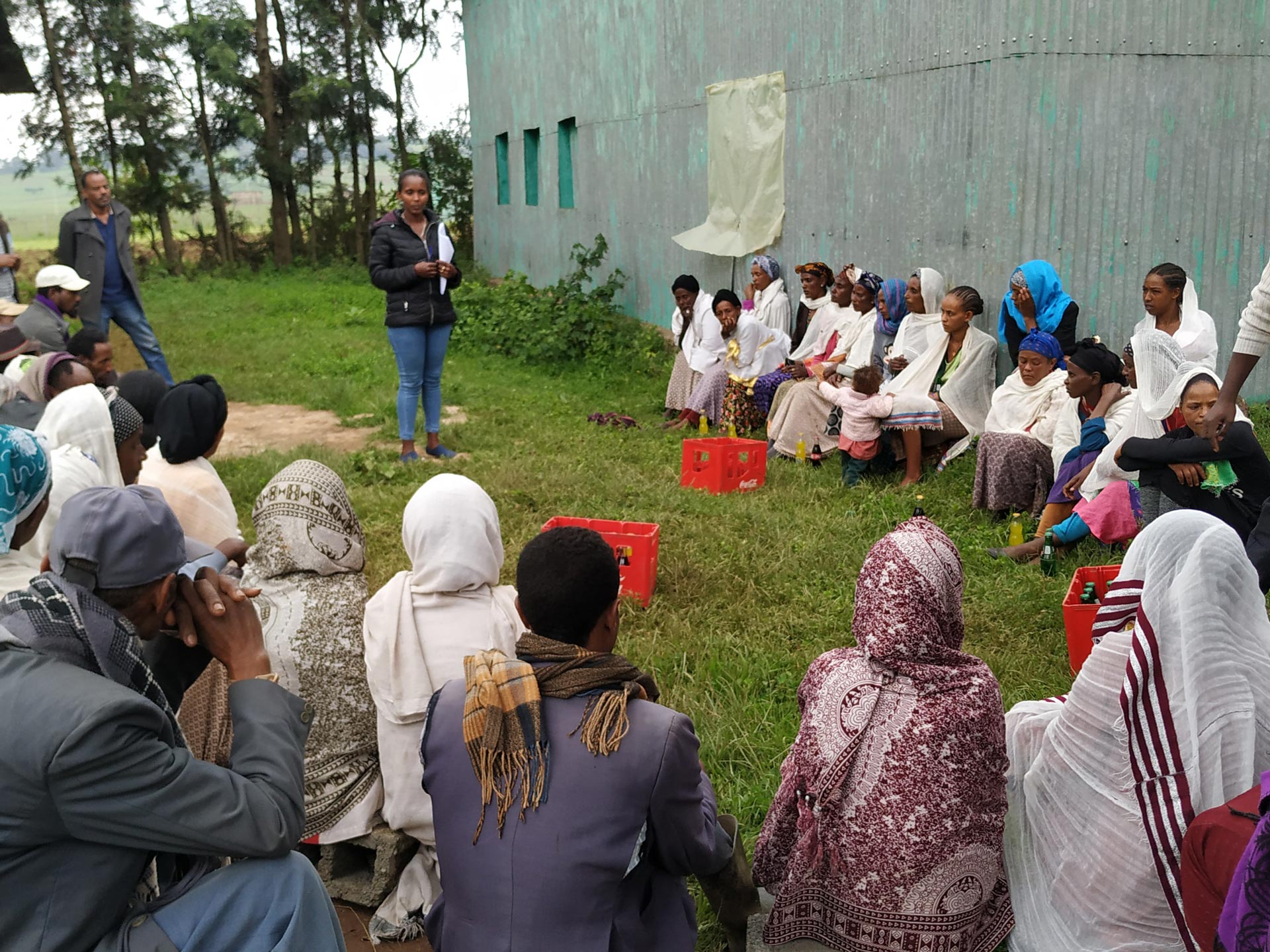 As is often the case when it comes to neglected crops, women are the undisputed stars of anchote's reawakening. During community conversations,they are invited to take a leadership role in their communities.