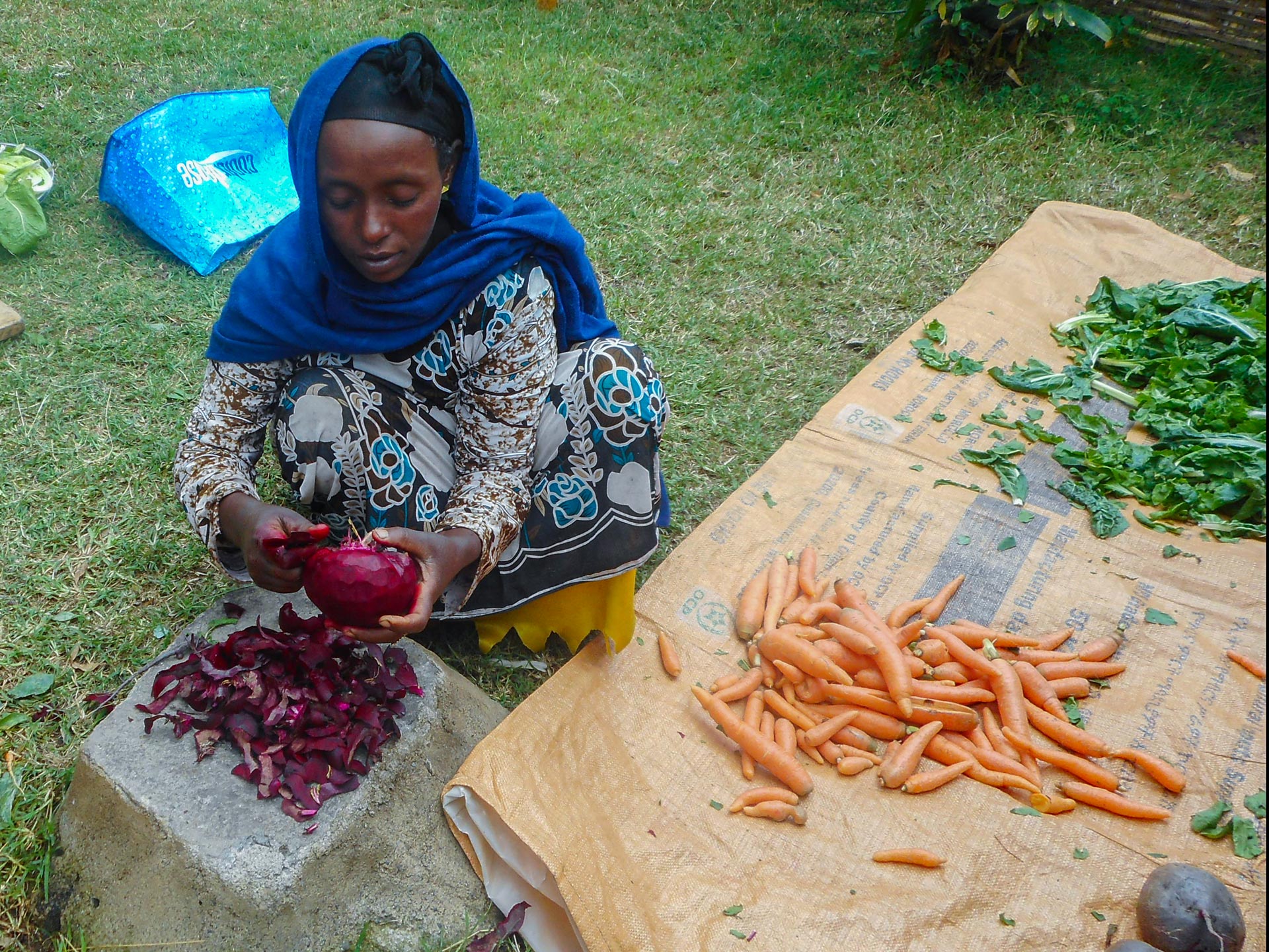 One plant alone cannot solve all problems, nor does it complete a diet. The cooking demonstrations also show how to prepare anchote along with other vegetables.