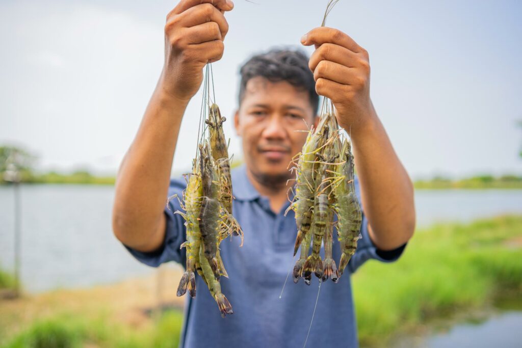 Lexicon of Food "Fisheries" Channel