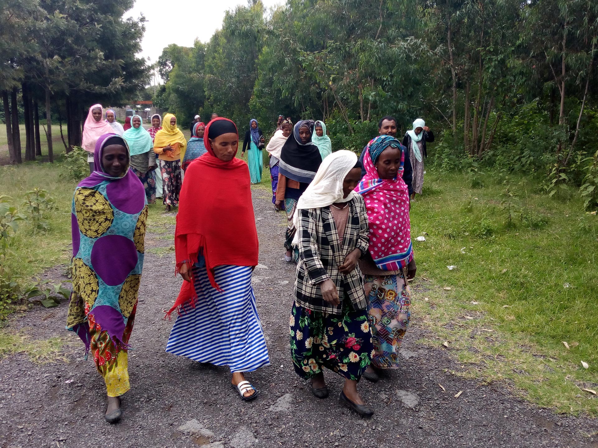 Women farmers from all the surrounding villages walk to the nearest community conversation. Here they will have the opportunity to learn new ways to feed their families and lay the foundation for the future of their communities.