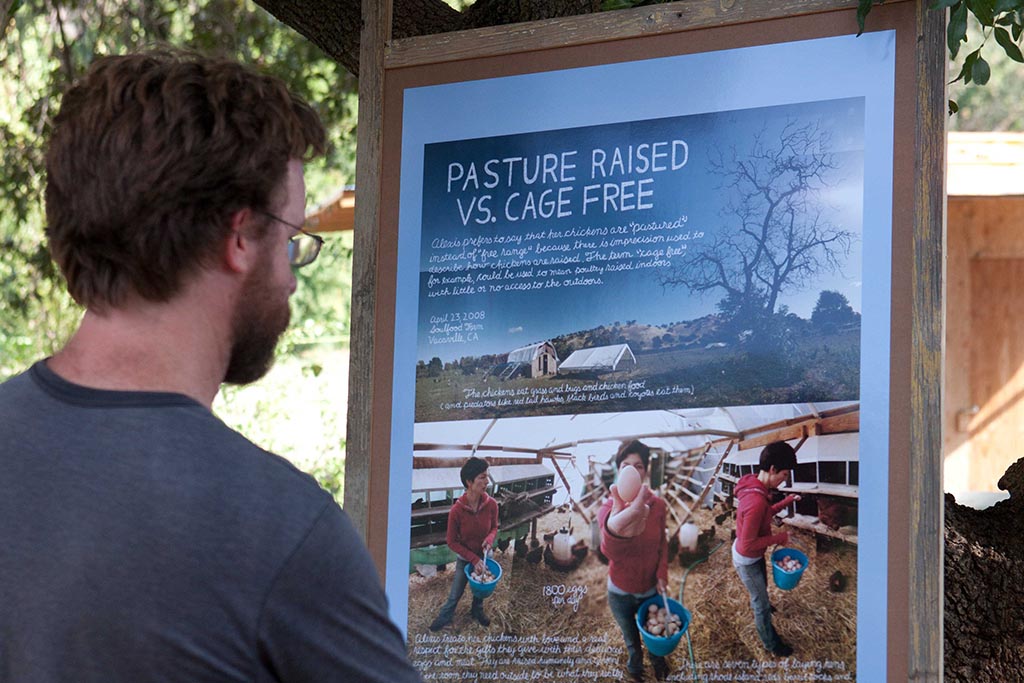 Pop-Up Shows: Information Artworks by Douglas Gayeton - Lexicon of Food