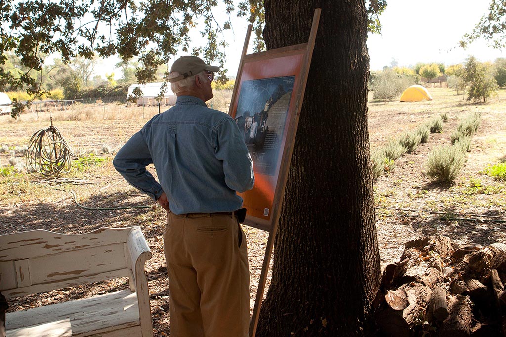 Pop-Up Shows: Information Artworks by Douglas Gayeton - Lexicon of Food