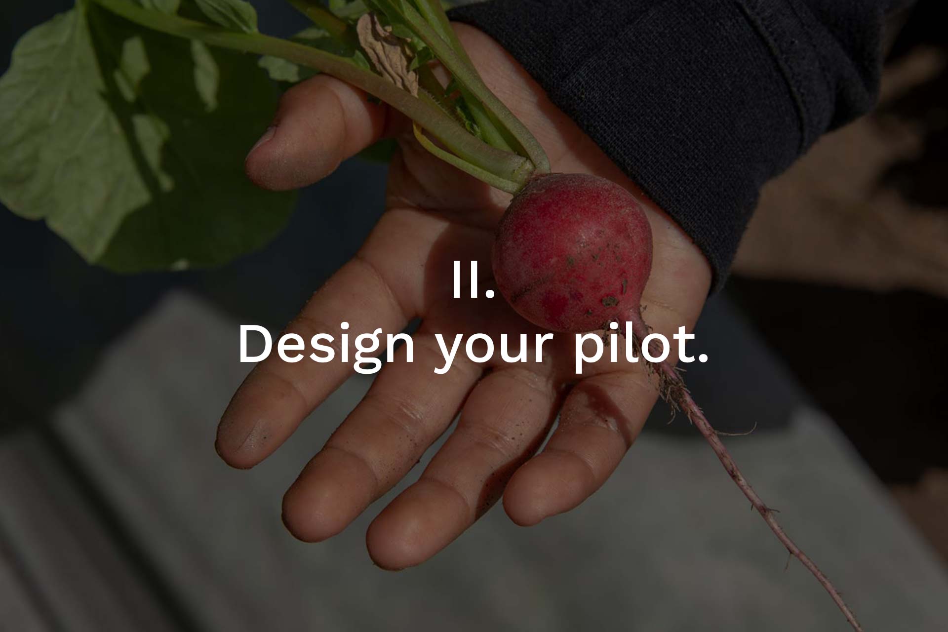 how to create your own BIPOC Sourcing pilot