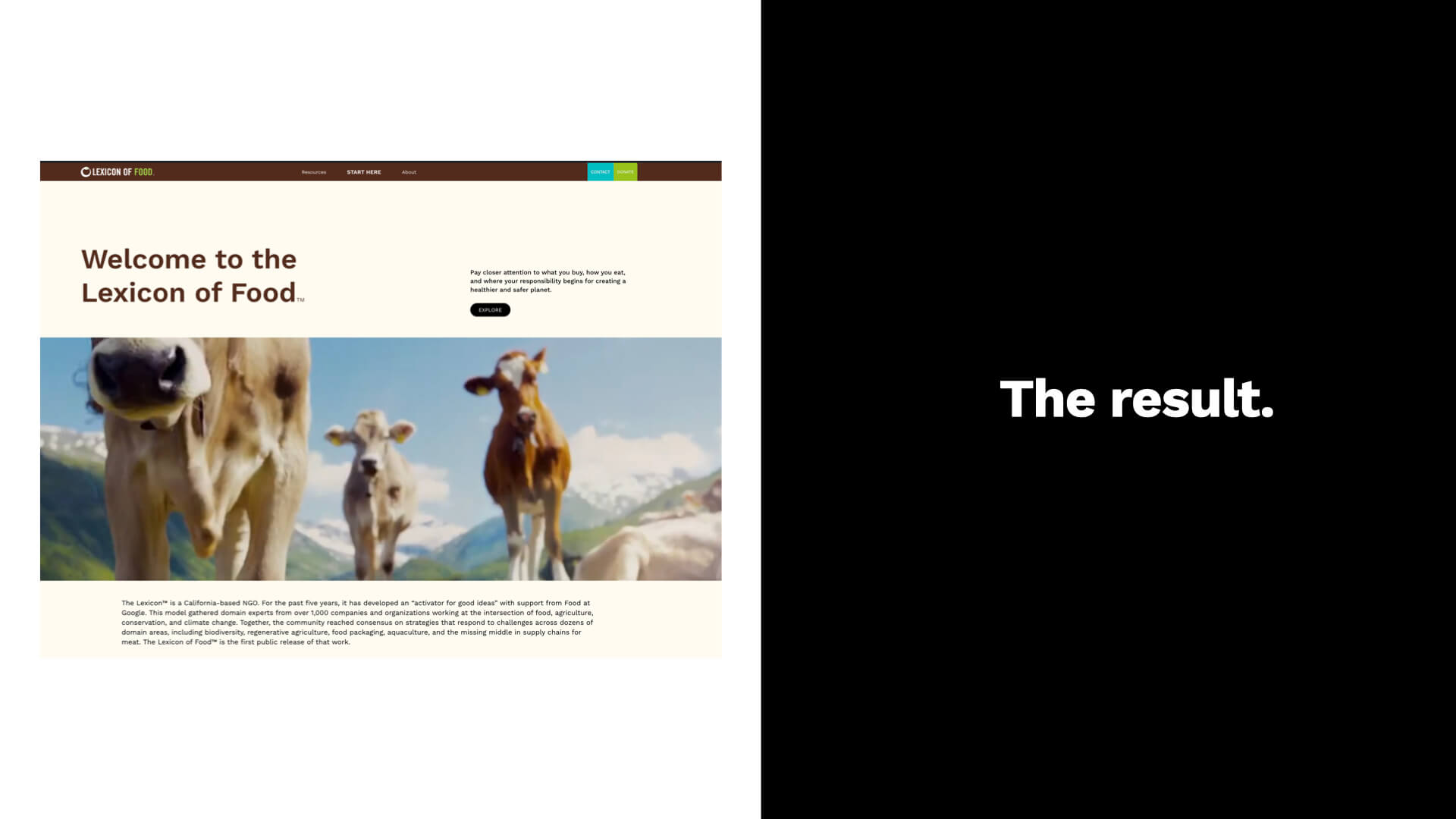 ACTIVATOR SLIDE SHOW.013_WEB
