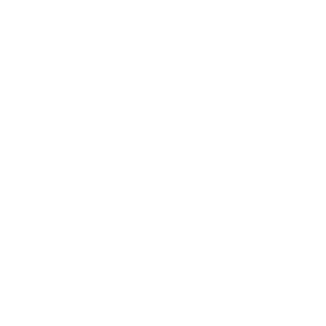 PS-MatrixFT-logo-white