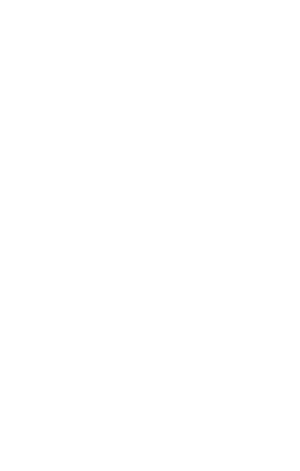 AUSTRIA-Outline@300h