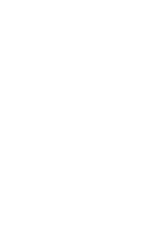 BRAZIL-Outline@300h