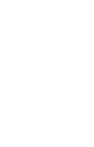 CHILE-Outline@300h