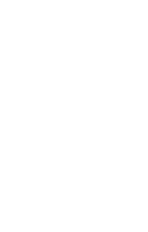 INDIA-Outline@300h