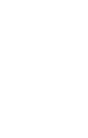 MAURITIUS-Outline@300h