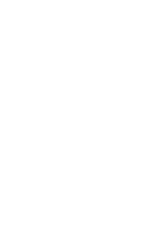 NIGERIA-Outline@300h
