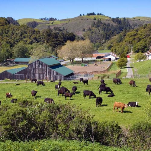 Card1b_TomKat_Ranch-view-1.jpg