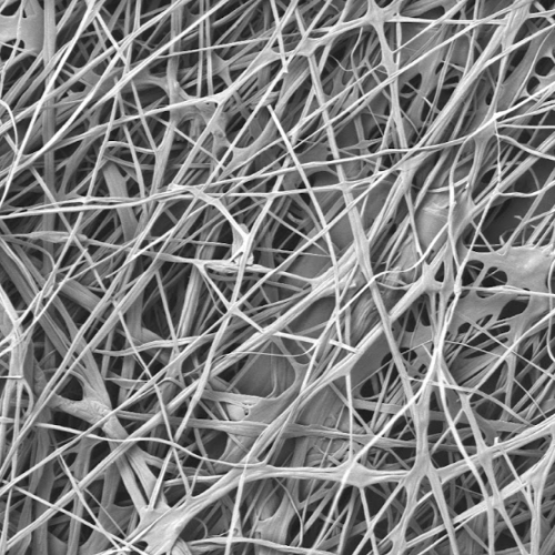 zein-microcarrier-may-2022.png